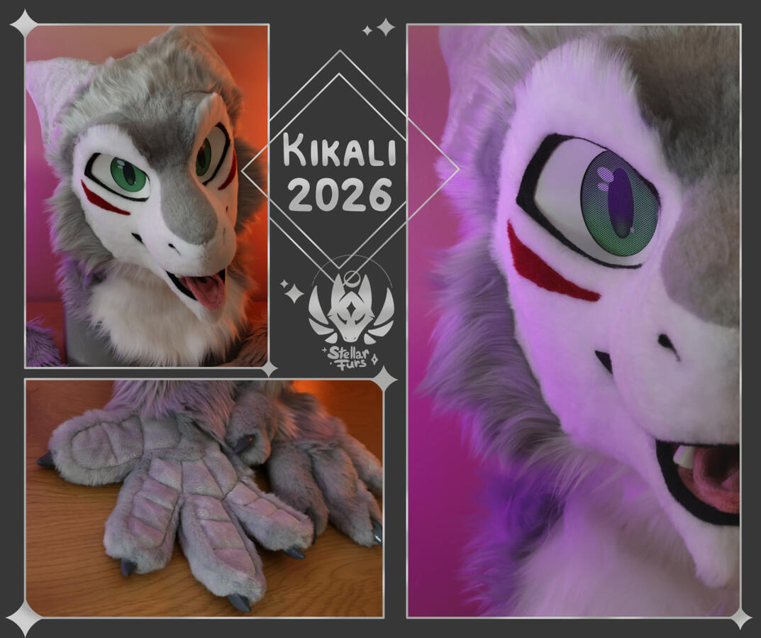 Commission 2026 Commission 2026