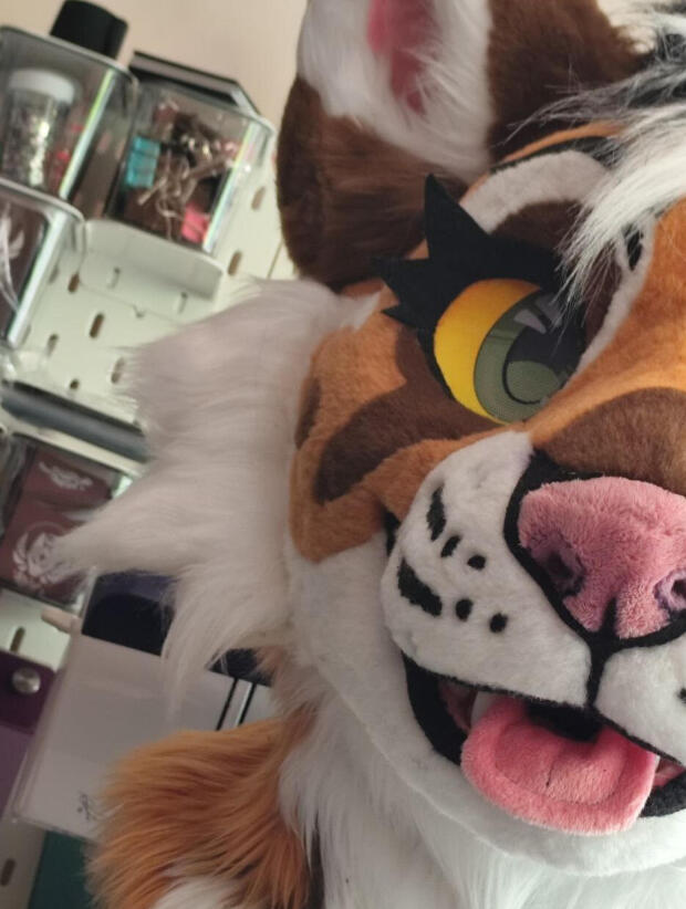 EF29 Premade EF29 Premade